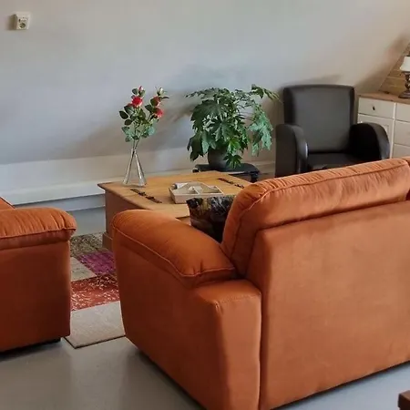 Country Life Comfortable ט-זנד