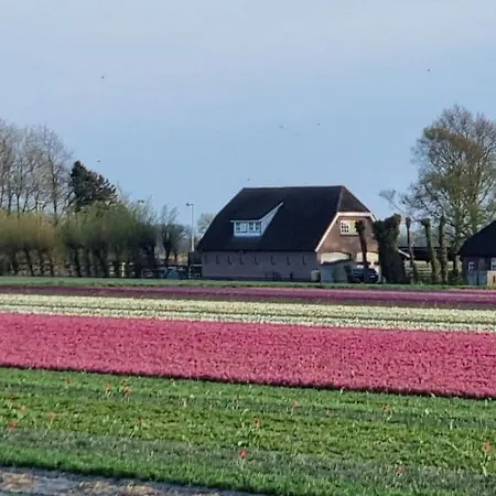 Country Life Comfortable * 't Zand