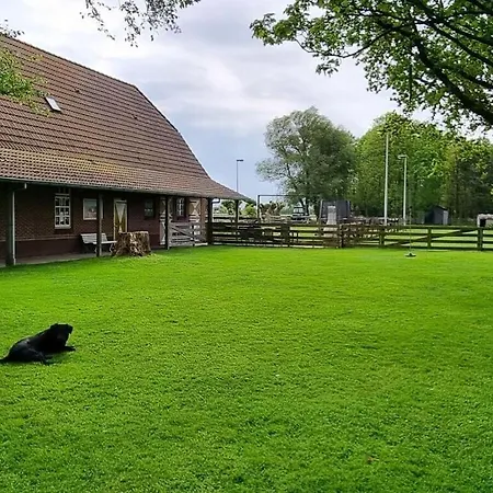 Country Life Comfortable *