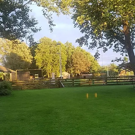 Country Life Comfortable 't Zand