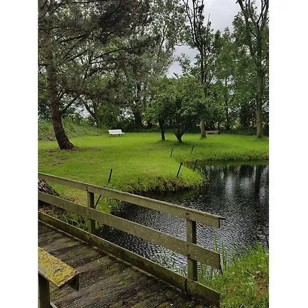Country Life Comfortable * ט-זנד